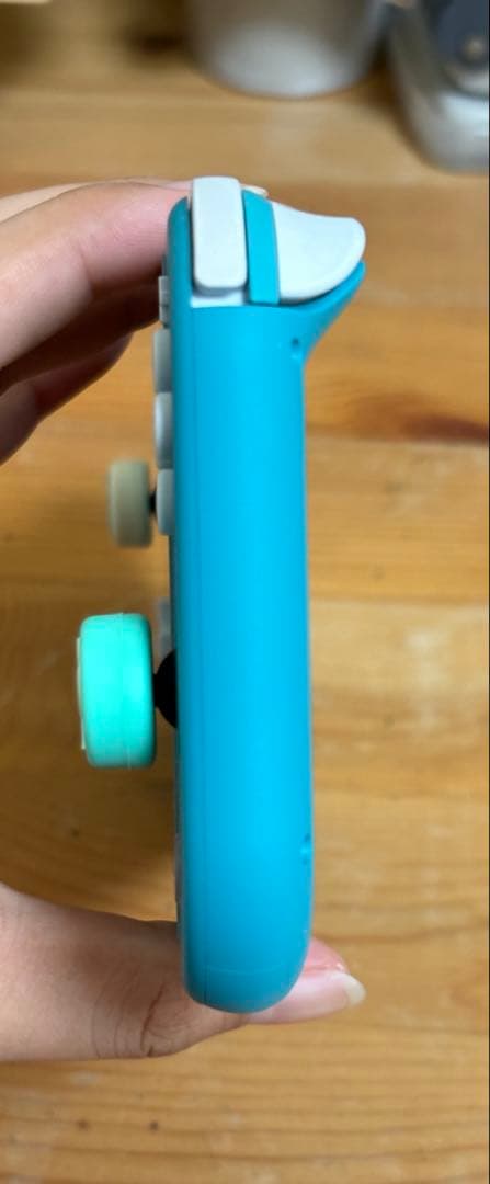 Nintendo Switch あつまれ どうぶつの森