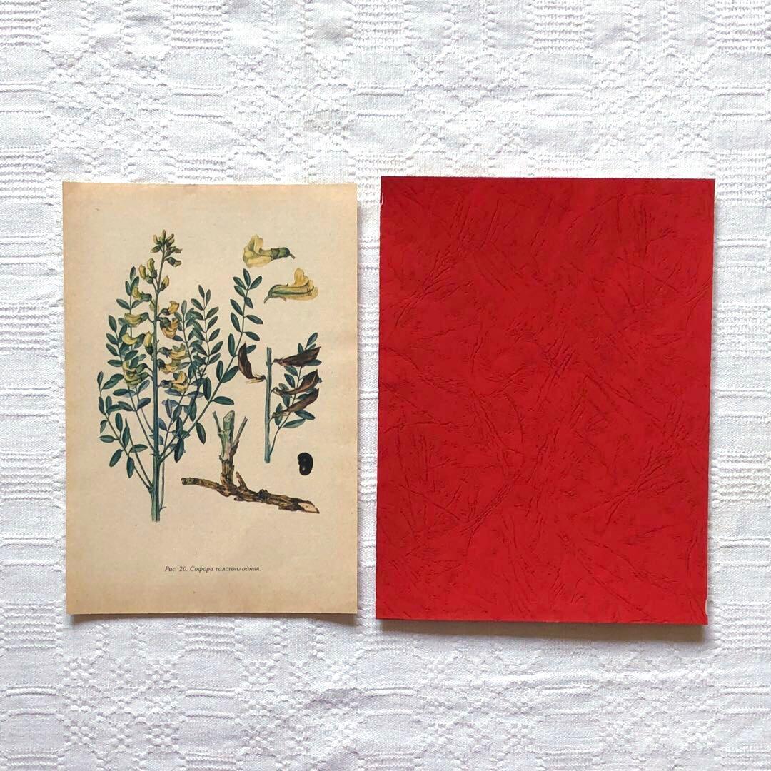 RV82 真鍮フォトフレーム24.5×18.5 北欧ヴィンテージ