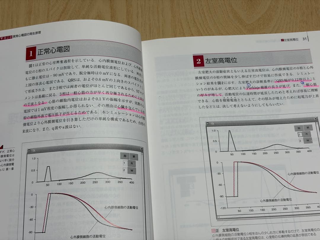 成り立ちから理解する心電図波形