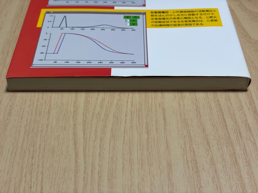 成り立ちから理解する心電図波形