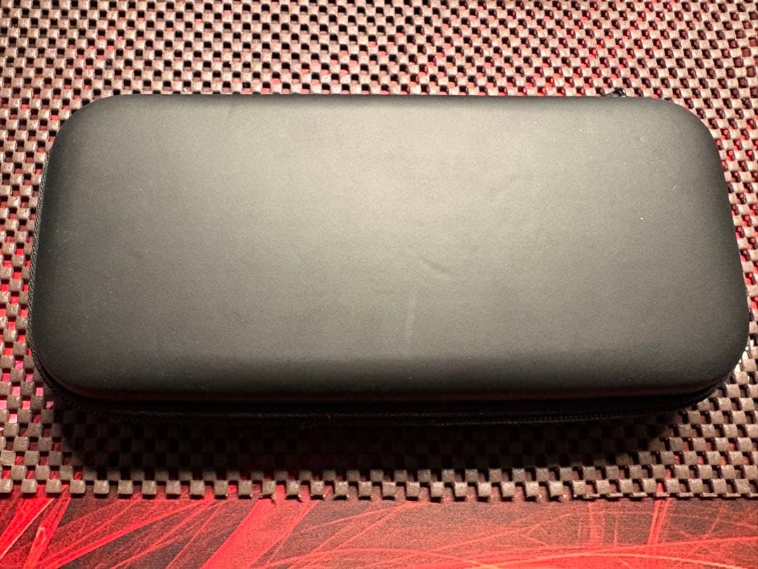 Nintendo Switch Lite グレー 本体のみ (ケース付き)