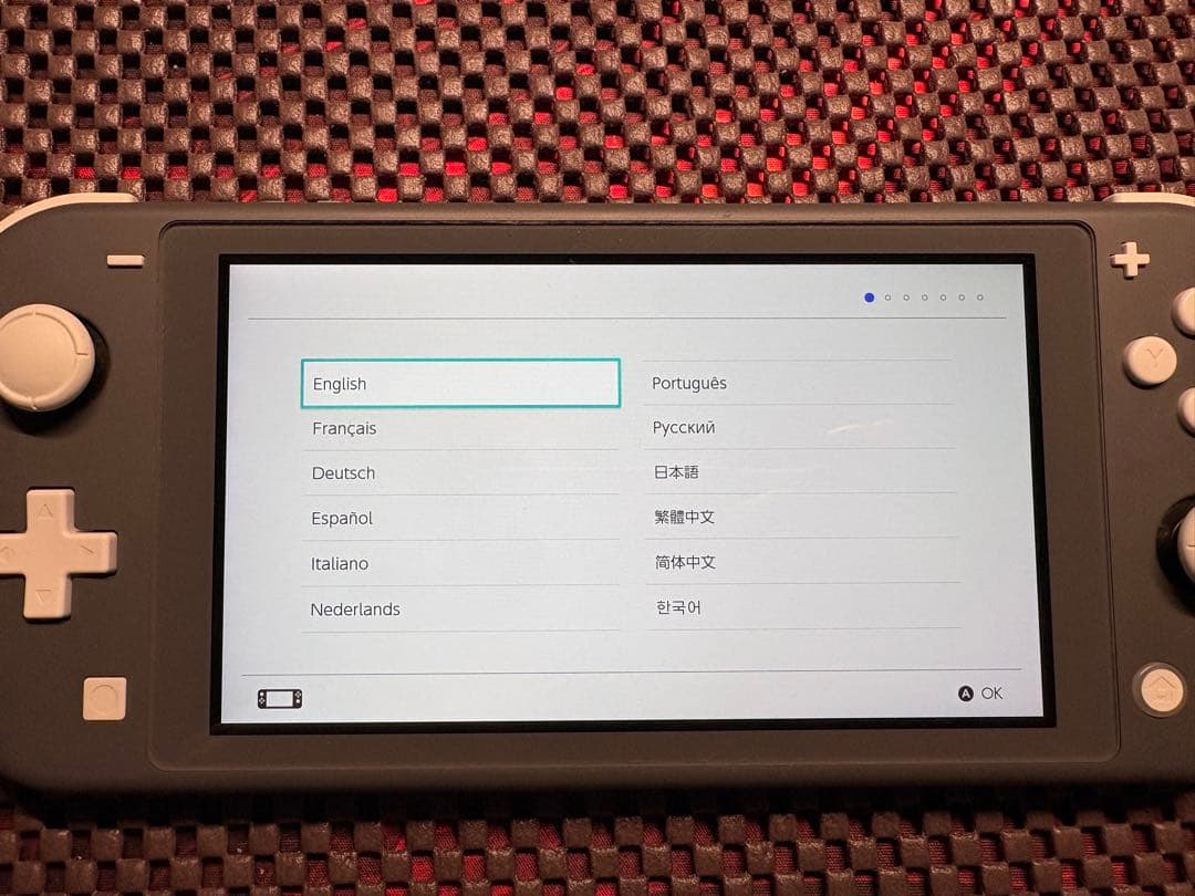 Nintendo Switch Lite グレー 本体のみ (ケース付き)