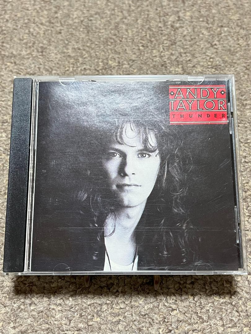 ★超レアＣＤ★ アーケイディア／アンディテイラー