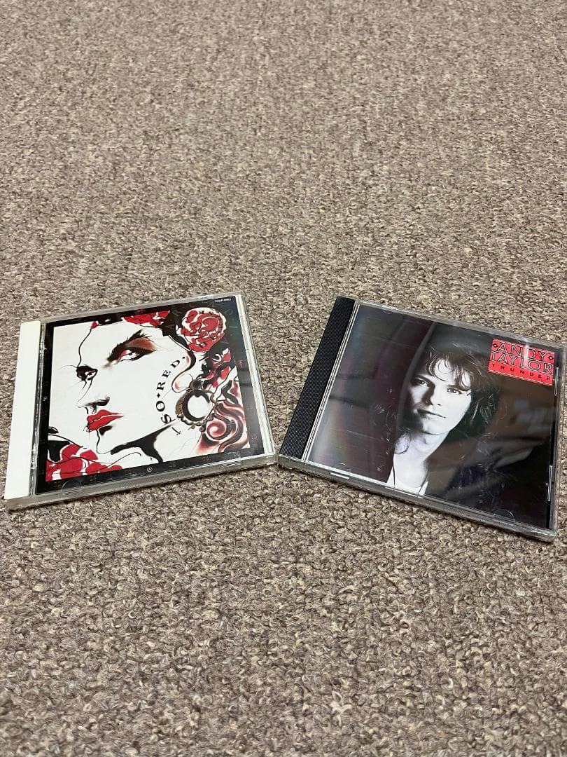 ★超レアＣＤ★ アーケイディア／アンディテイラー