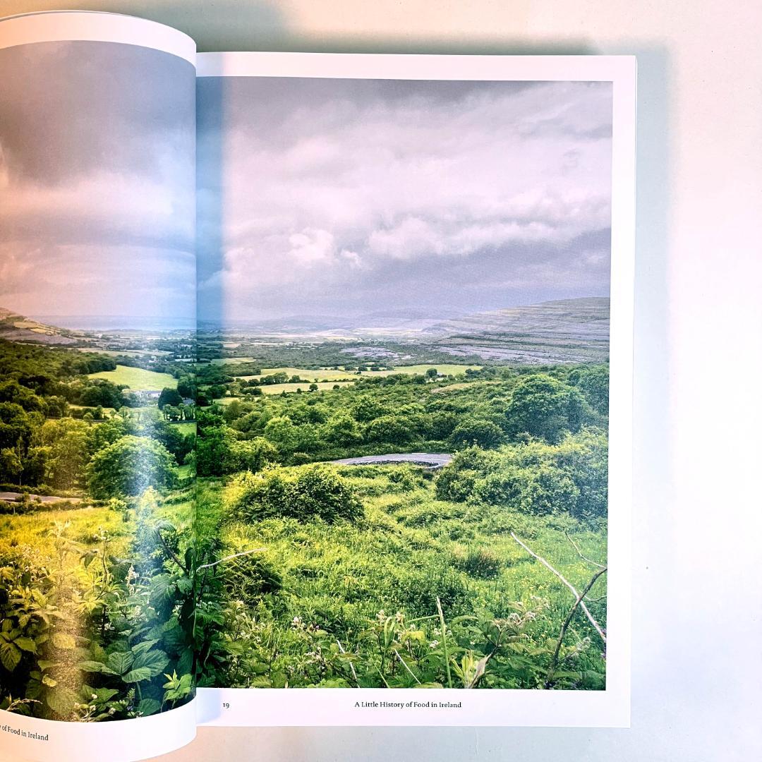 【洋書・料理本】The Irish Cookbook