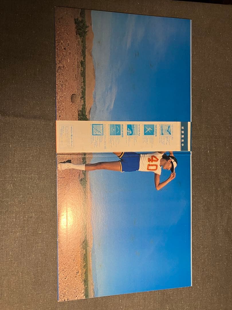 高中正義 All Of Me ベストセレクション レコード2枚組