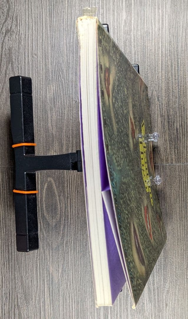 洋書　Valentine Hugo 1887-1968