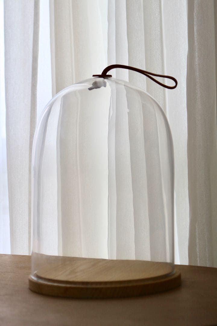 LSA イヴァロ ドーム&アッシュベース　φ22cm