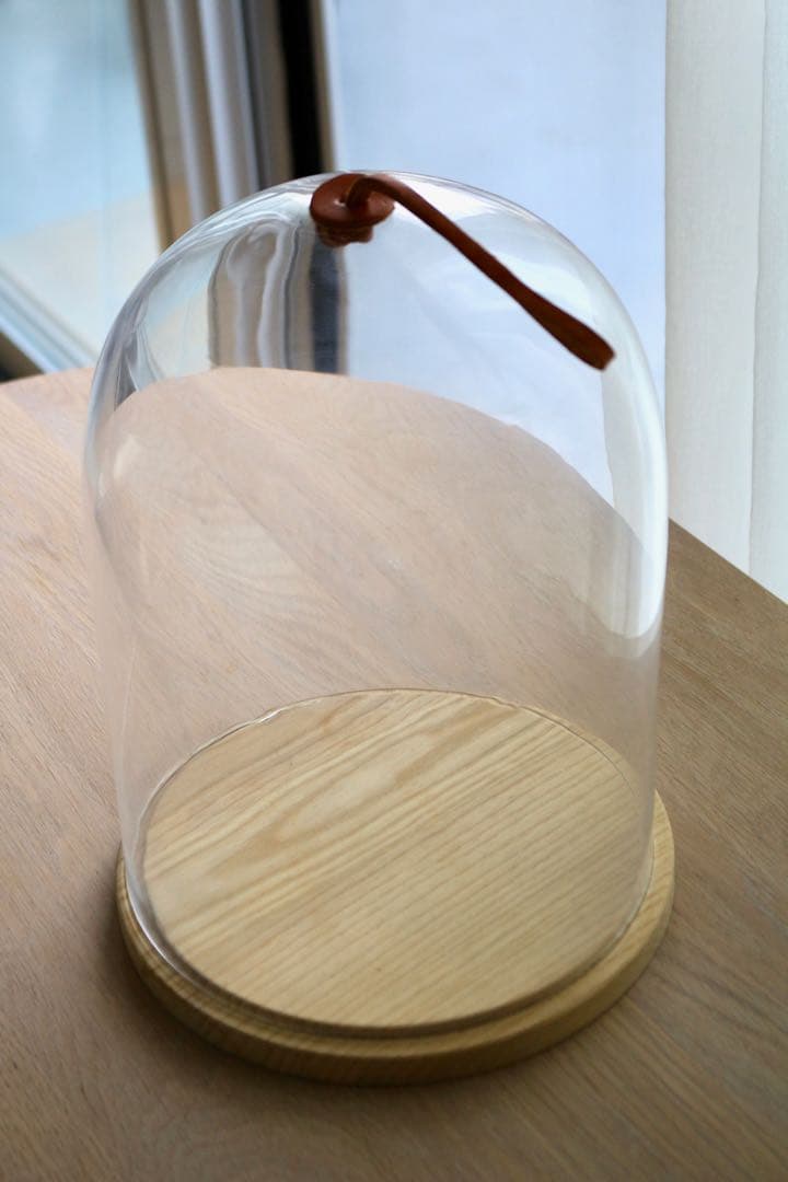 LSA イヴァロ ドーム&アッシュベース　φ22cm