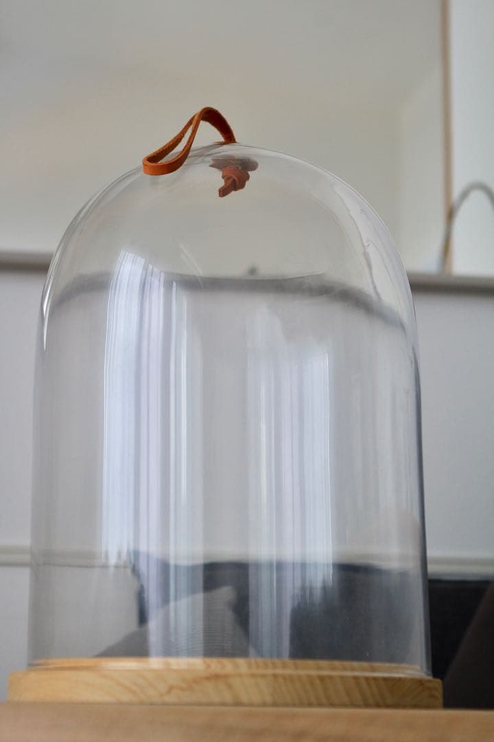 LSA イヴァロ ドーム&アッシュベース　φ22cm