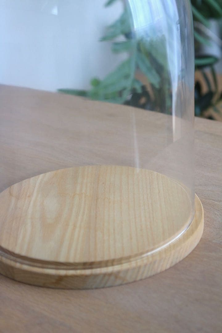 LSA イヴァロ ドーム&アッシュベース　φ22cm