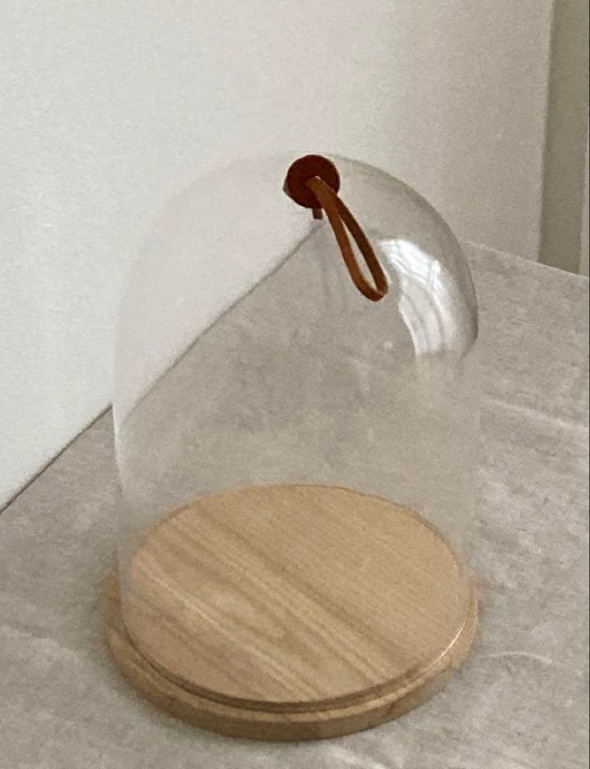 LSA イヴァロ ドーム&アッシュベース　φ22cm