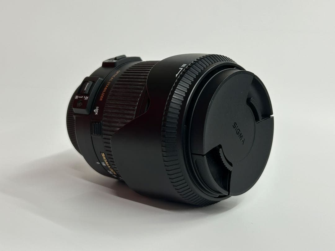 近くも遠くも撮れる高倍率レンズSIGMA18-250mm F3.5-6.3ニコン