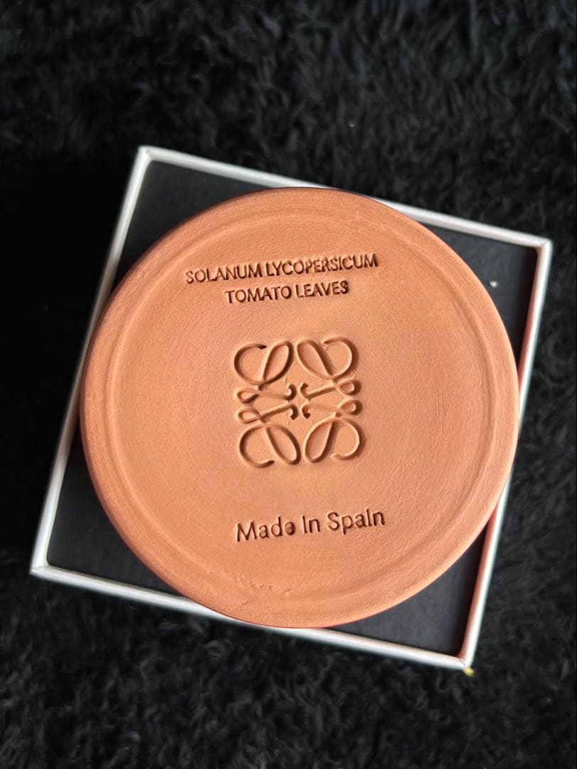 LOEWE トマトの葉 キャンドル