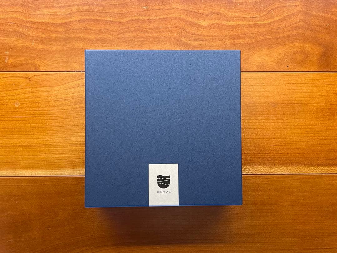 【希少/未使用】 VIVAHDE 山のうつわ DISH ブラック お皿