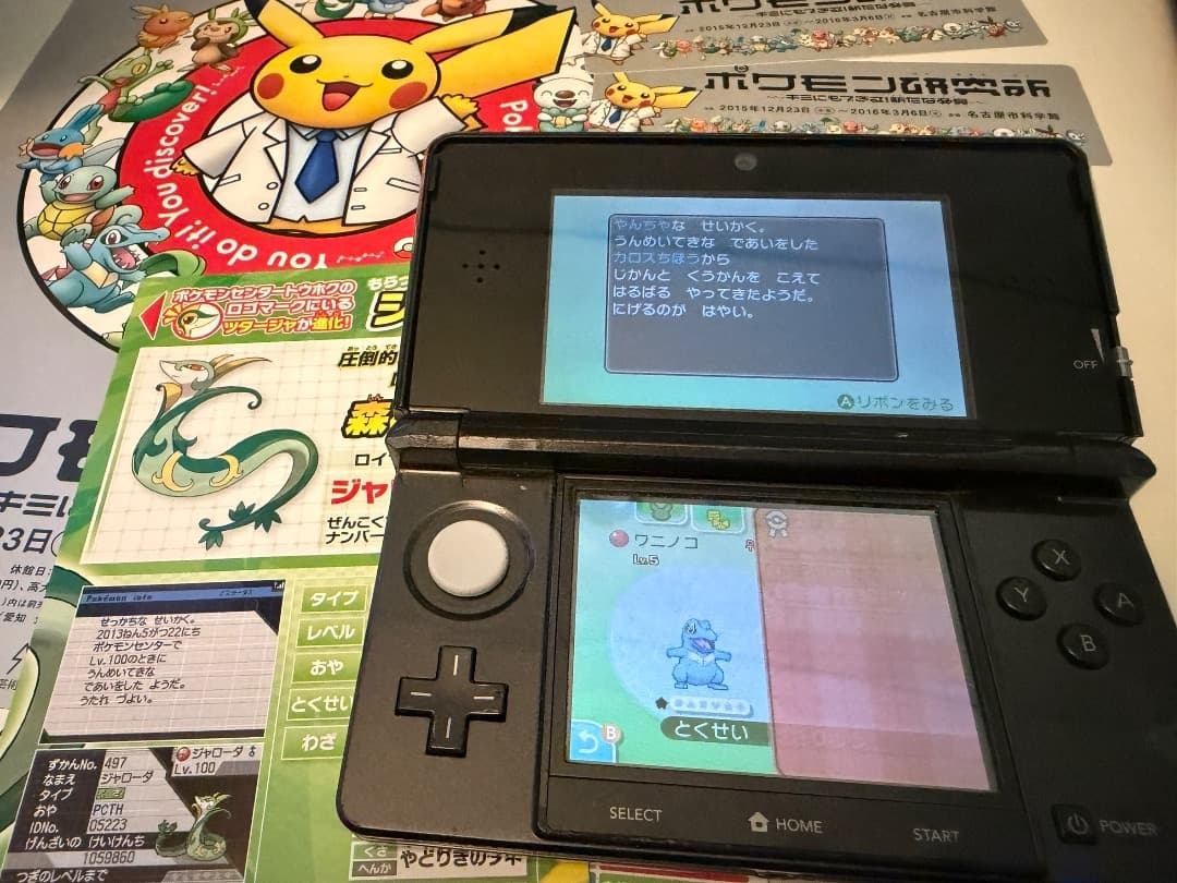 ポケモン　ムーン　ソフト　配布多数　チラシ付き