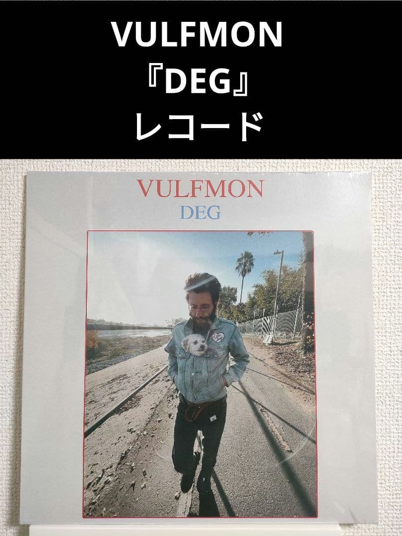 新品!レア!VULFMON『DEG』レコード vulfpeck
