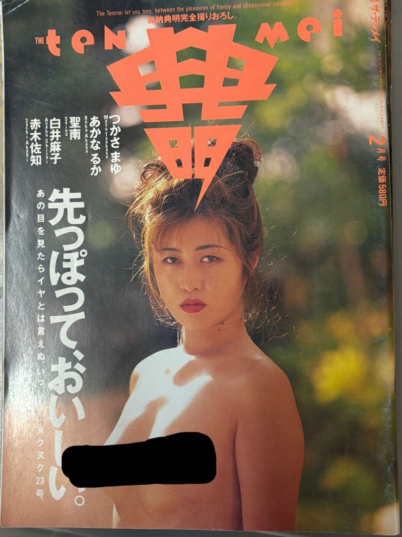 ザ・テンメイ 典明 11冊