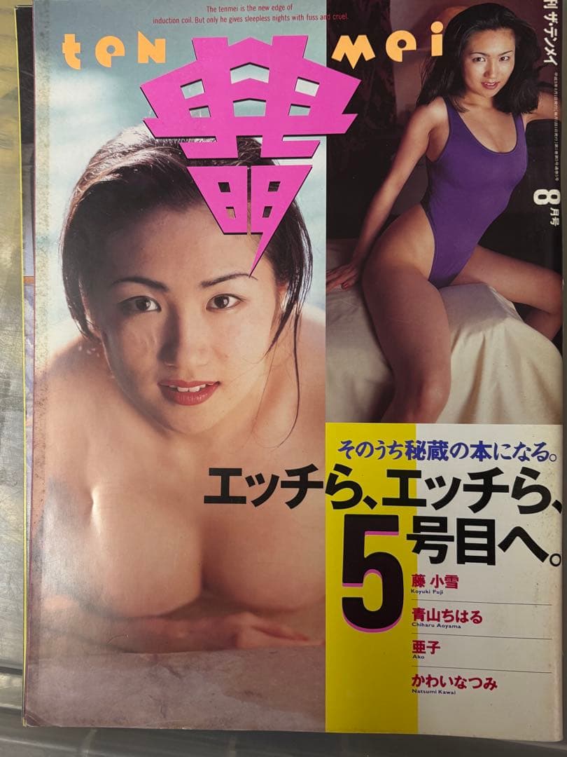 ザ・テンメイ 典明 11冊