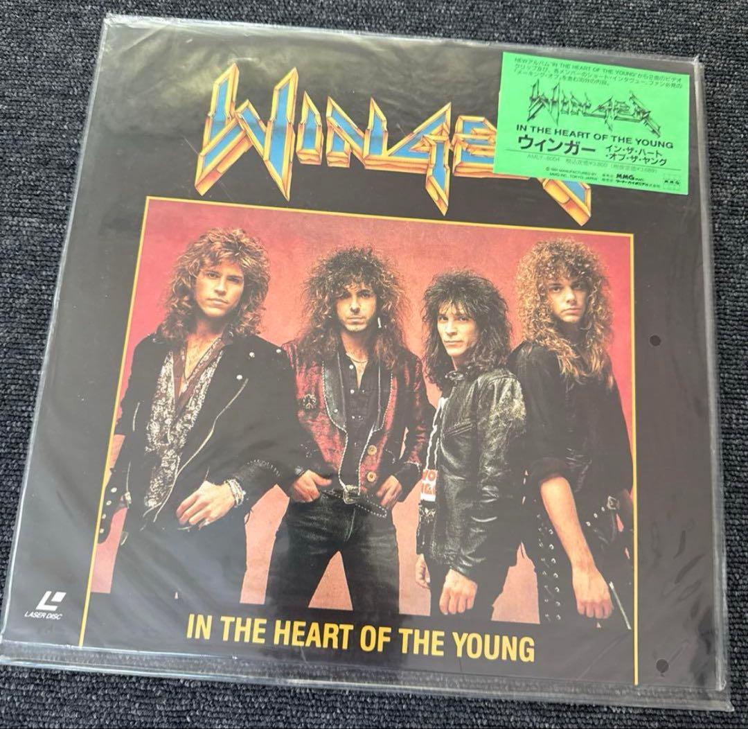 「vintage」⭐️中にはレア物‼️ レーザーディスク 19枚セット