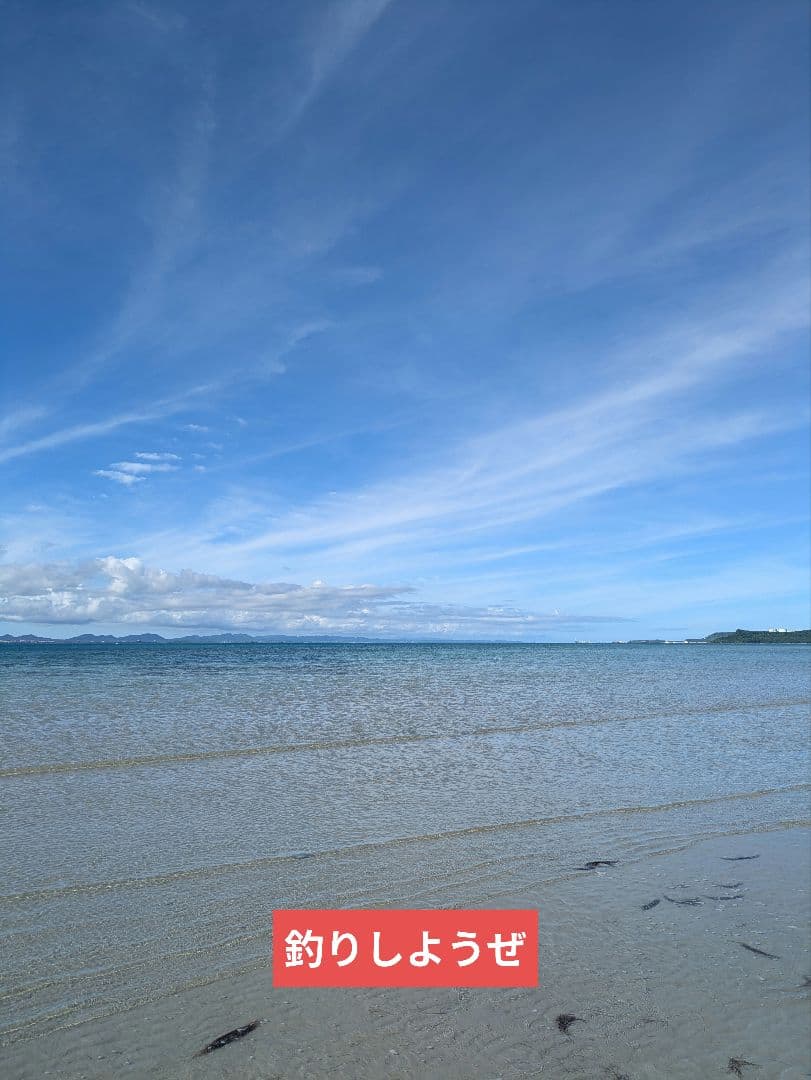 豚吉ホルモン 豚角 ぶリーチ ピッグダディー ピッグマミー ブーたん セット