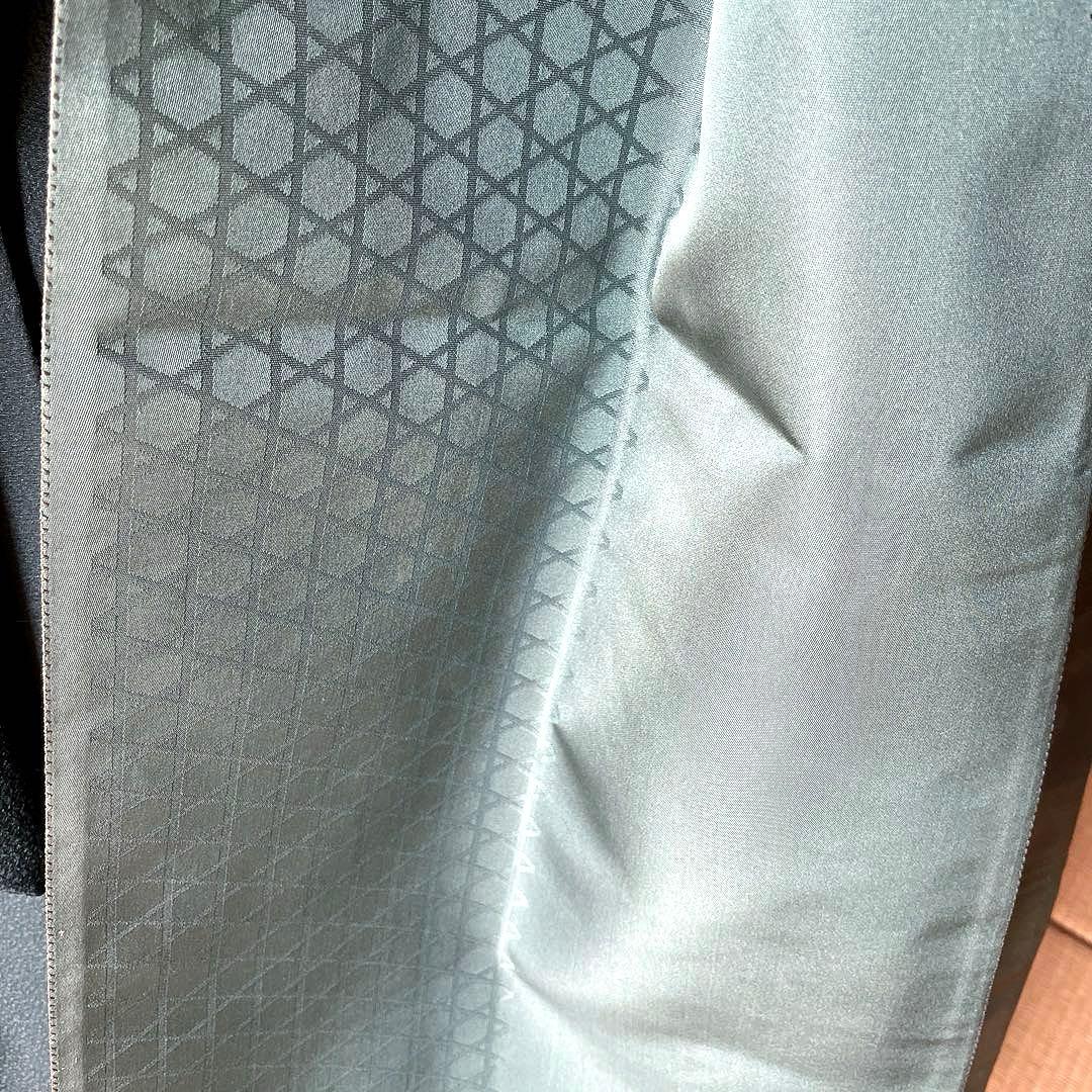 振袖フルセット　手描き友禅　成人式振袖　振袖　裄丈67 ➕サイズ　やまと謹製