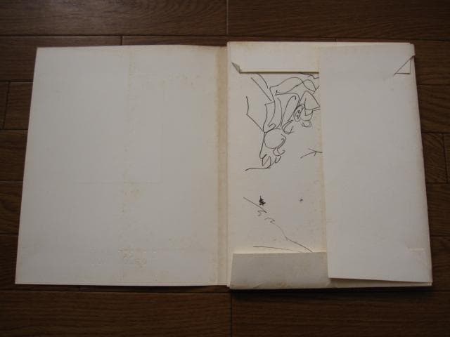 Picasso inconnu Laporte Geneviève　ピカソ