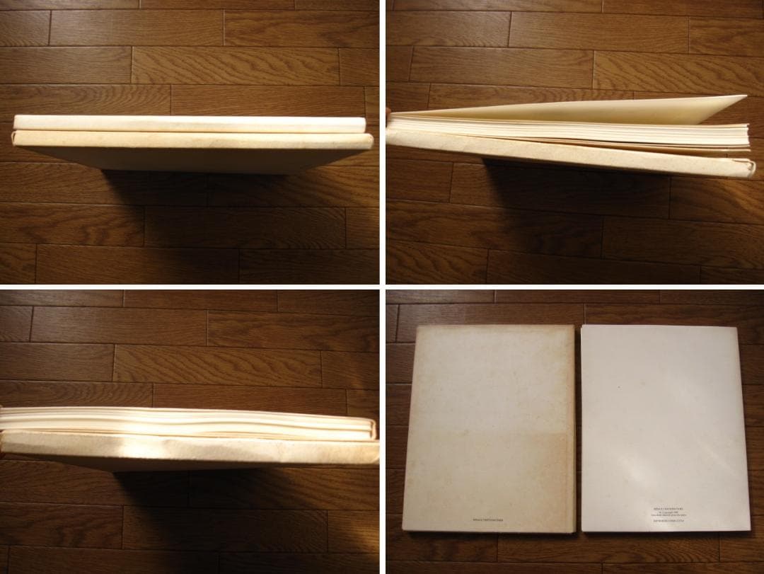 Picasso inconnu Laporte Geneviève　ピカソ