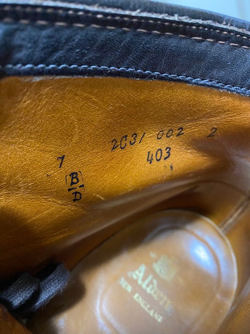 オールデン インディブーツ403 7D