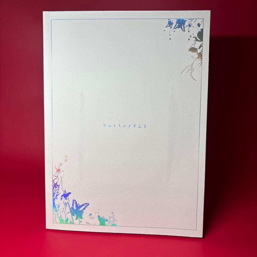 K-POP・アジア Ailee 2nd Album butterFLY