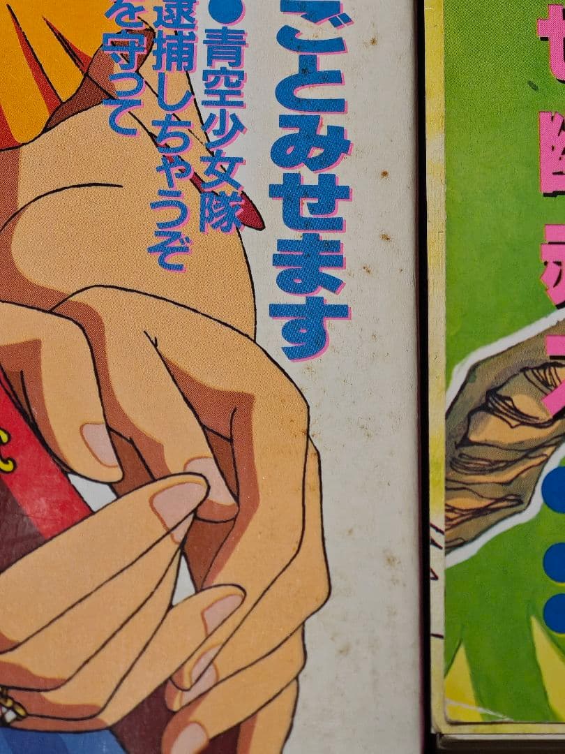 徳間書店　アニメージュ(平成6年)　12冊まとめ売り