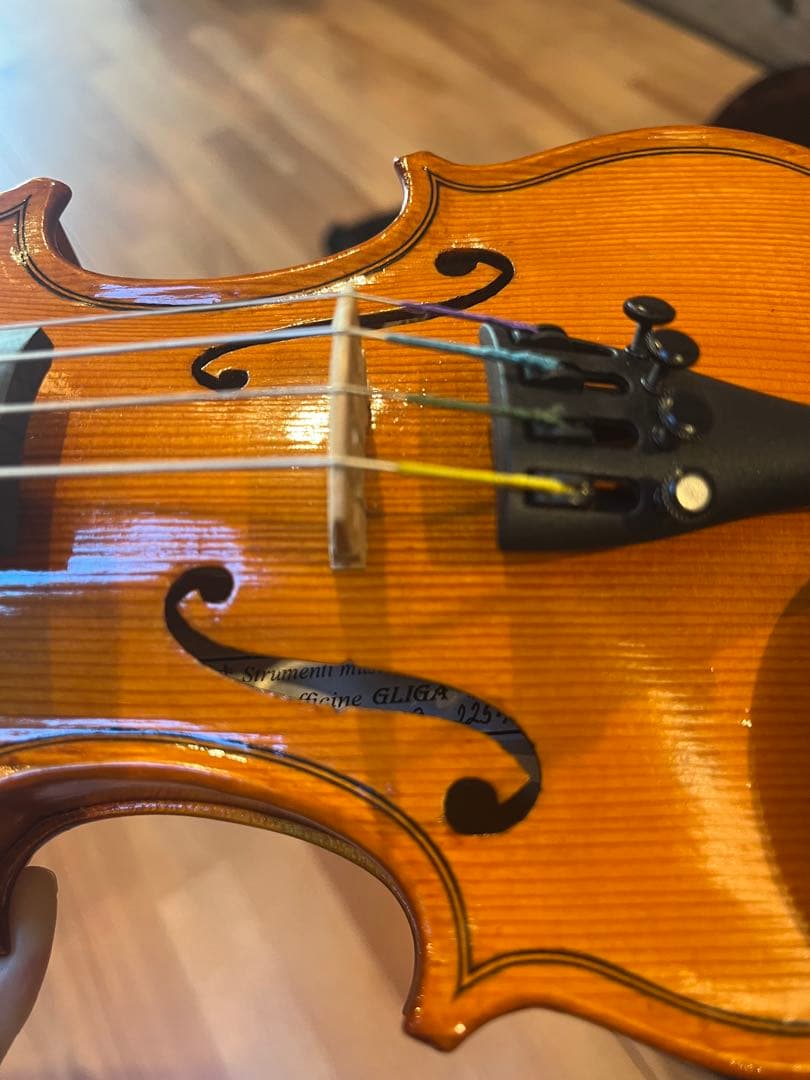 GLIGA Gems1 グリガ　バイオリン1/10 2019年度製