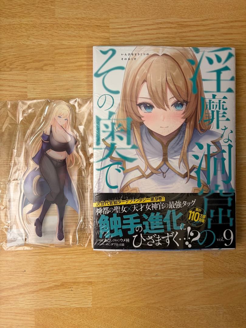 淫靡な洞窟のその奥で　9巻　ゲーマーズ限定版