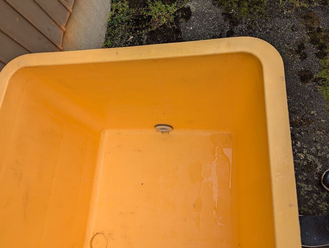 ミツル大型水槽