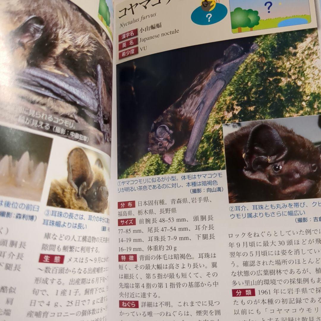 【絶版】コウモリ識別ハンドブック改訂版