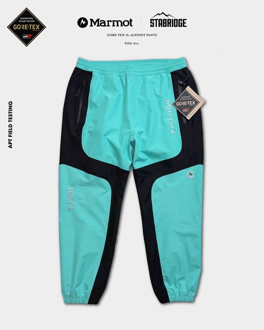 GORE-TEX 3L ALPINIST PANTS サイズL