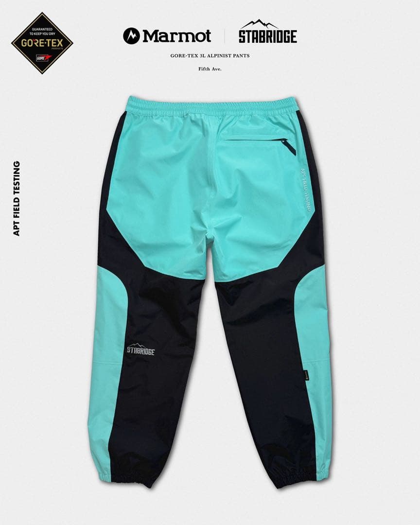 GORE-TEX 3L ALPINIST PANTS サイズL