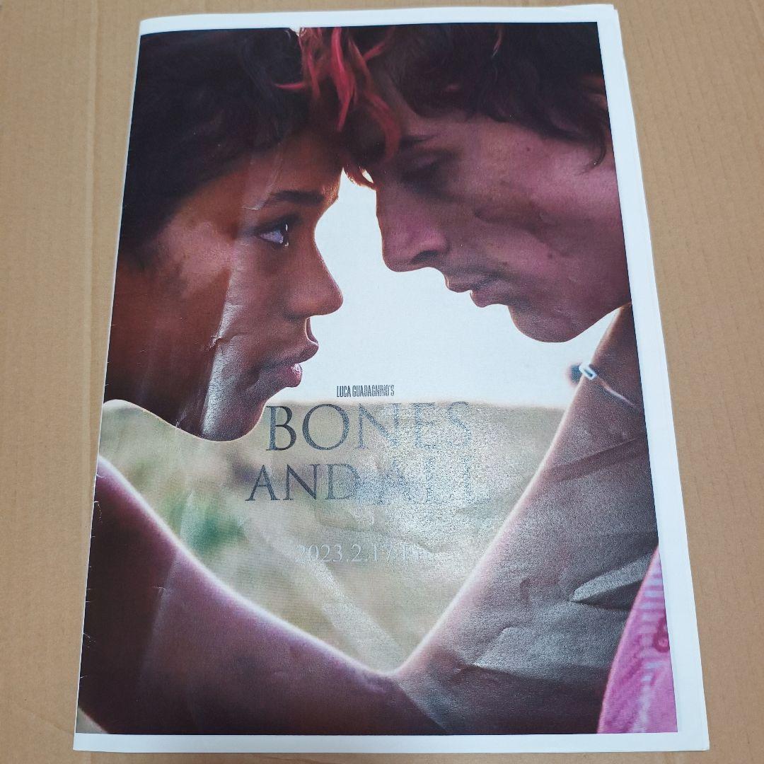 ティモシー・シャラメ　最新作マーティシュプリーム含む非売品プレスシート4冊