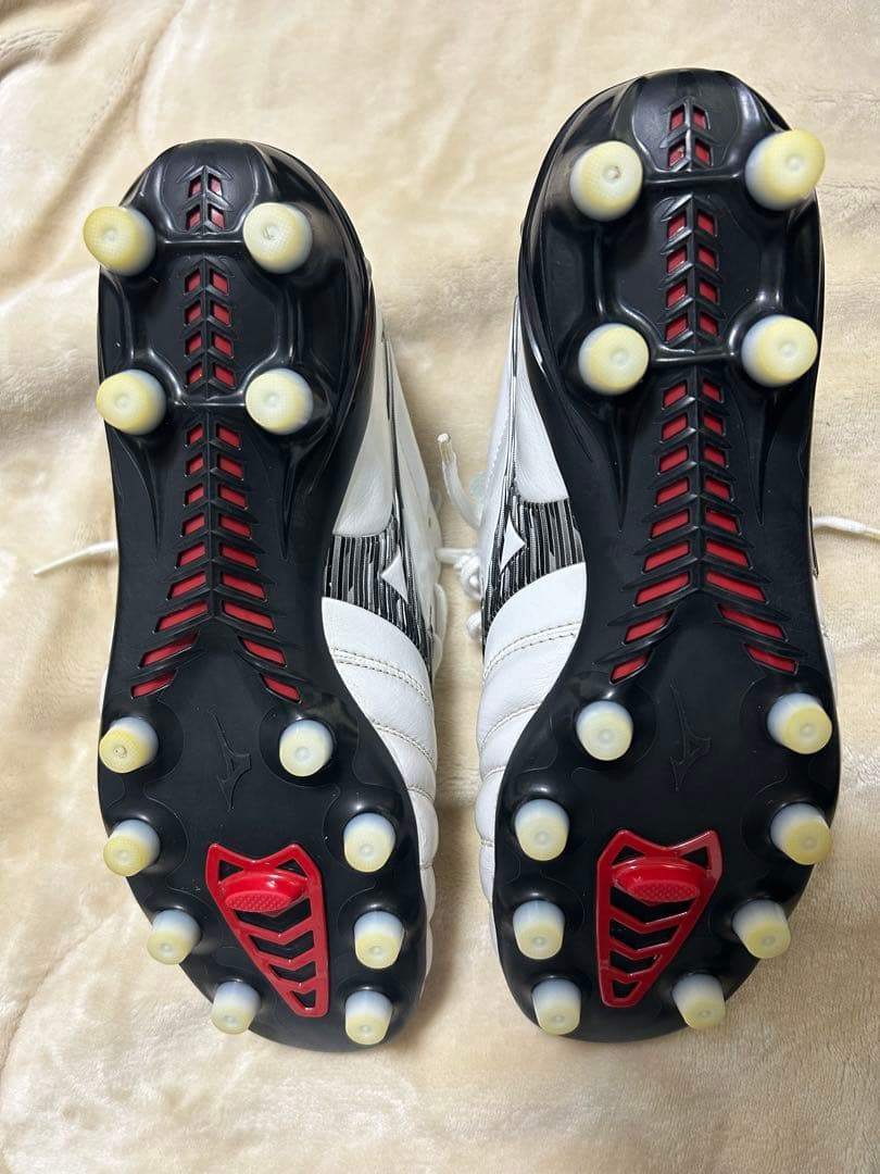 モレリアネオ　24.5cm