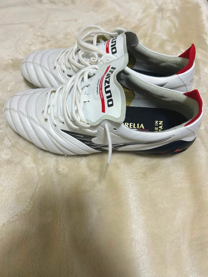 モレリアネオ　24.5cm