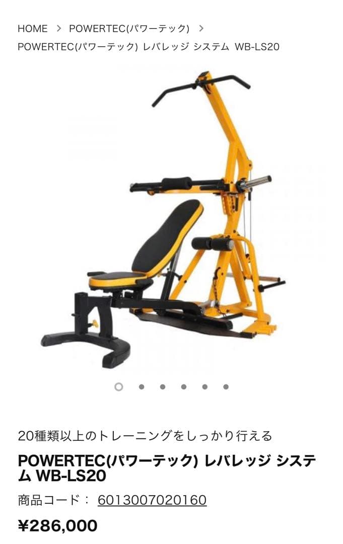 【raeray】POWERTEC レバレッジ システム WB-LS20