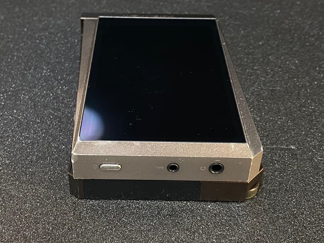 Astell&Kern AK380 AMP用Dignis本革ケースのみ
