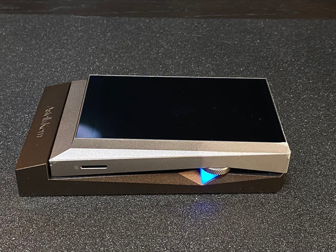 Astell&Kern AK380 AMP用Dignis本革ケースのみ