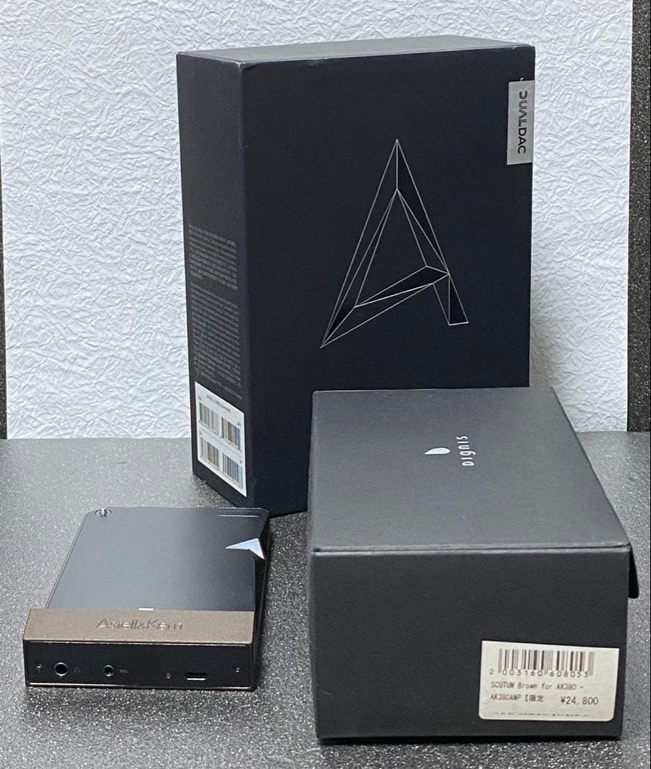 Astell&Kern AK380 AMP用Dignis本革ケースのみ