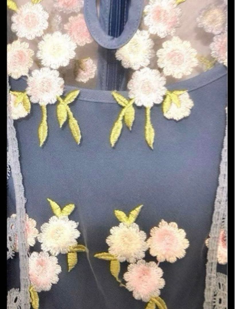 極美品　希少 エムズグレイシー　ワンピース　公式販売 セレクトブランド　レース