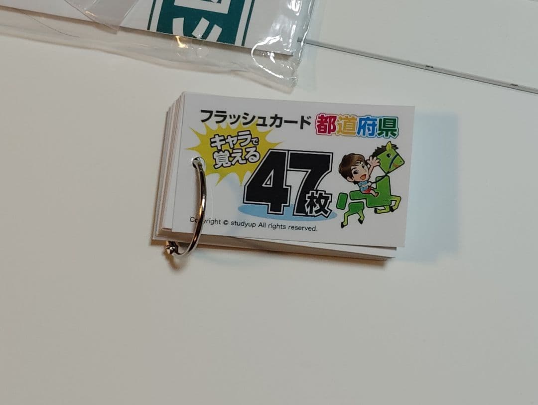 【中学受験】スタディアップ　地図パズル【フルセット】 191ピース