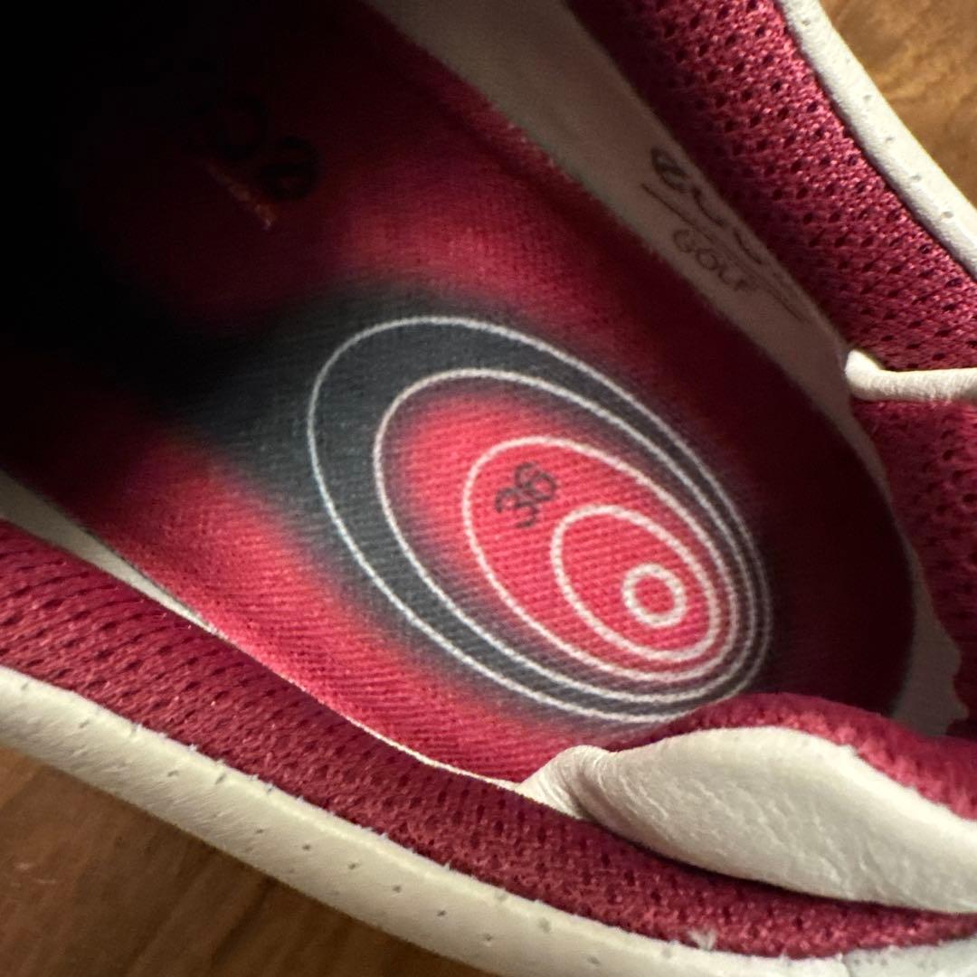 e c coのゴルフシューズレディース用36。本革。防水加工。BOA。