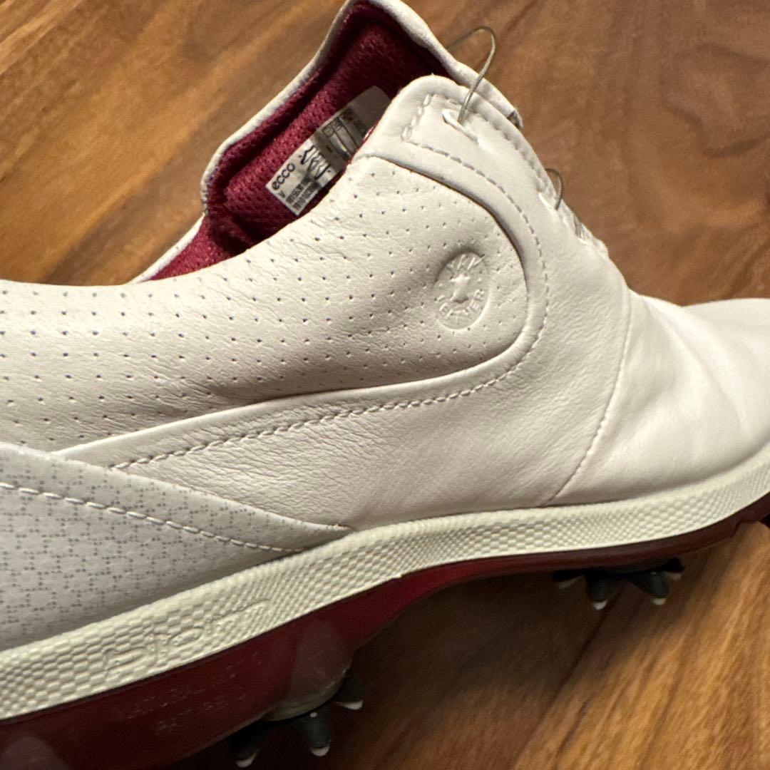 e c coのゴルフシューズレディース用36。本革。防水加工。BOA。