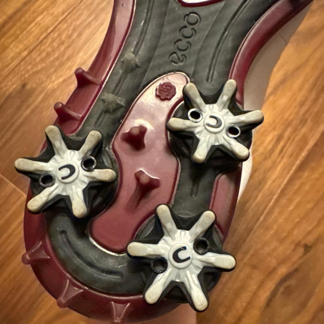 e c coのゴルフシューズレディース用36。本革。防水加工。BOA。