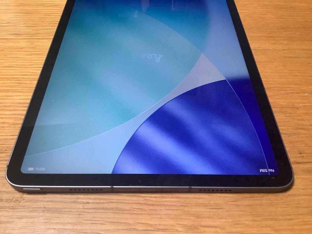 iPad Pro 11 第3世代 256GB Cellular SIMフリー